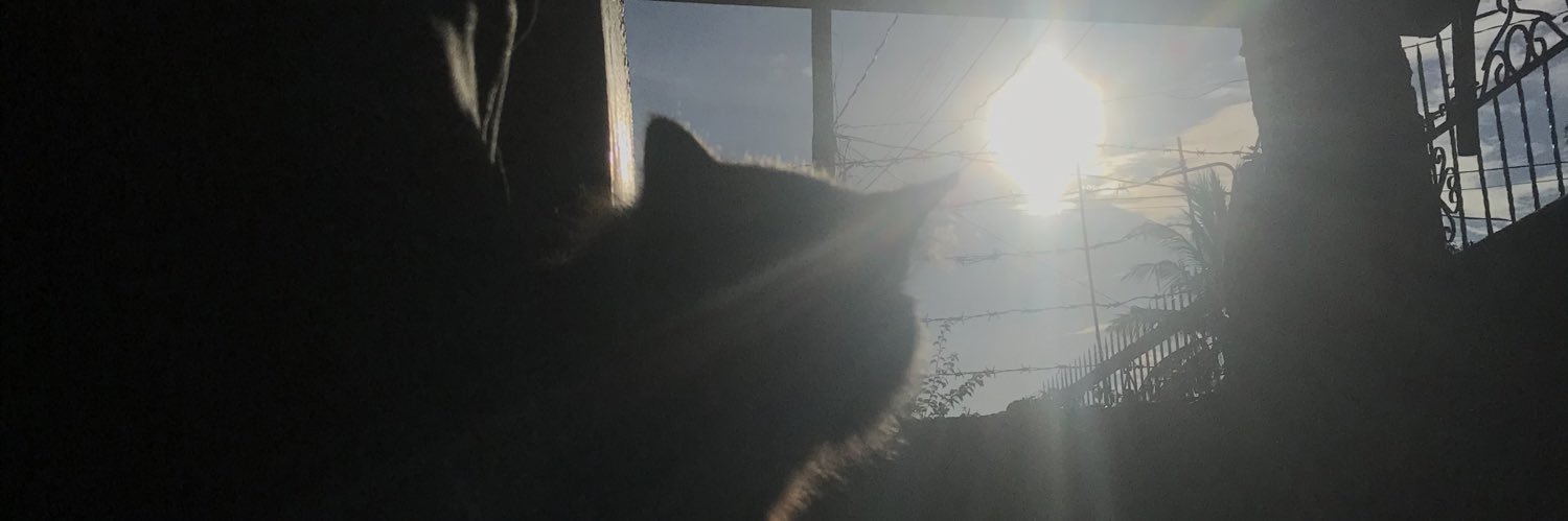l4ysa_'s profile banner image