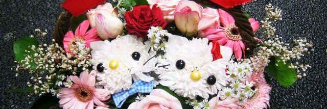 AjengPraRubi's profile banner image