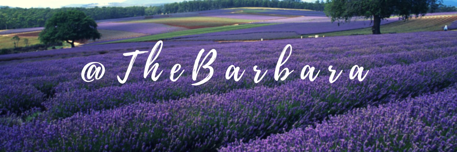 _TheBarbara_'s profile banner image