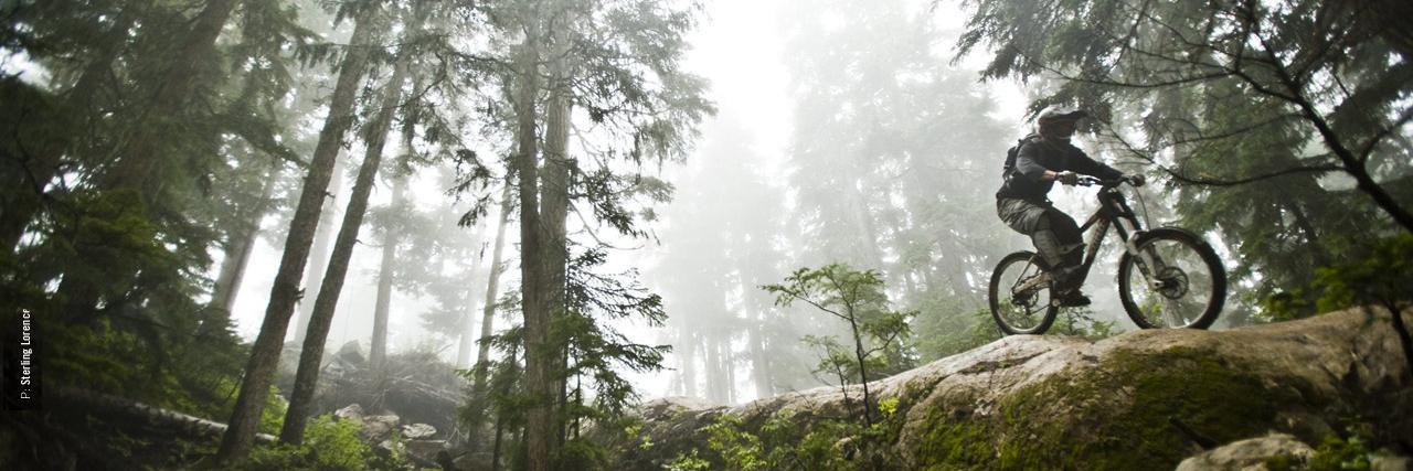 infinity multisport banner