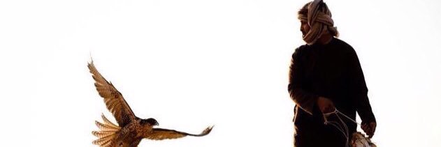 gwsamg's profile banner image
