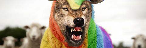 Forrestkpln's profile banner image