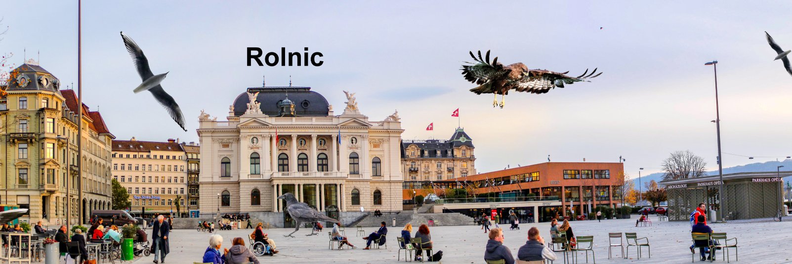 1Rolnic's profile banner image