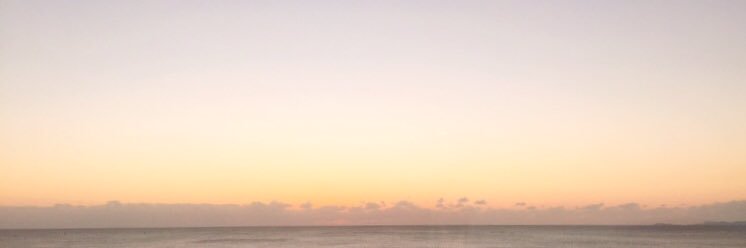 shimsco_o's profile banner image