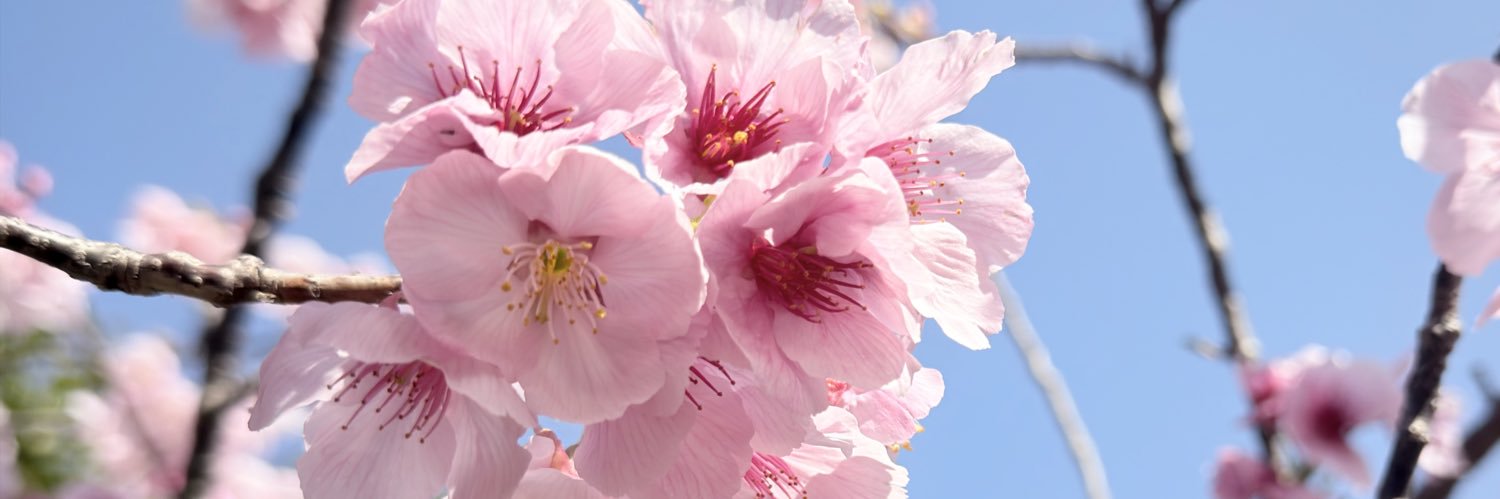 YukiSeaman's profile banner image