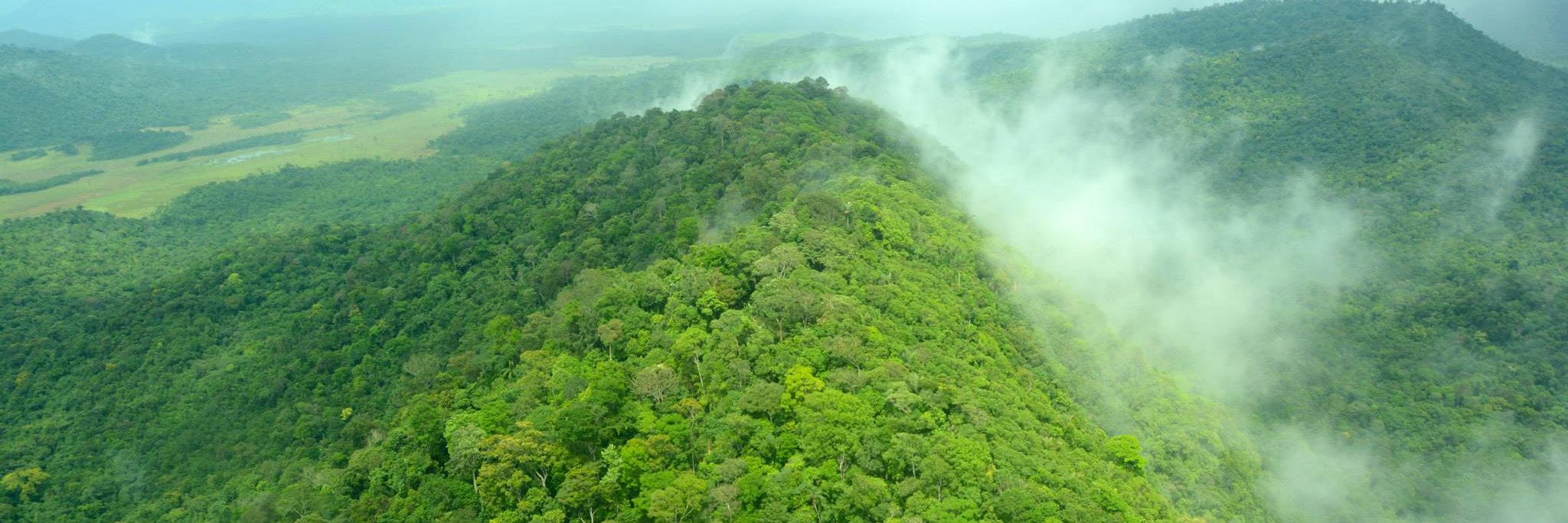 One Health Productions banner