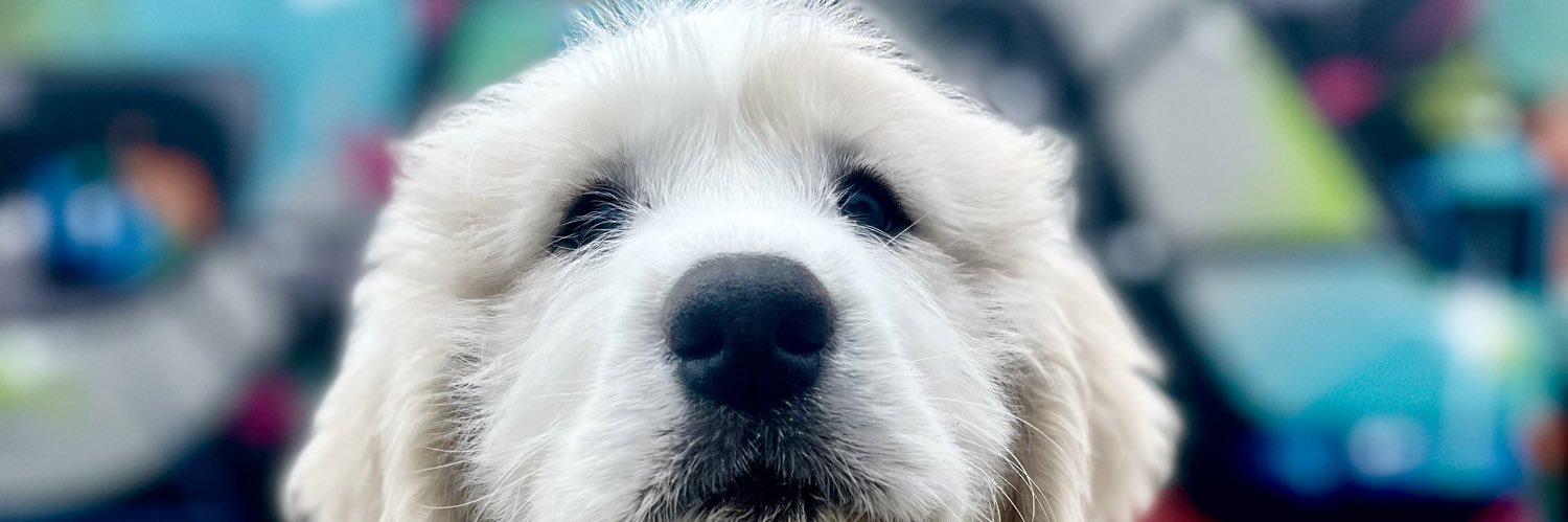 Stephen Ochoa banner