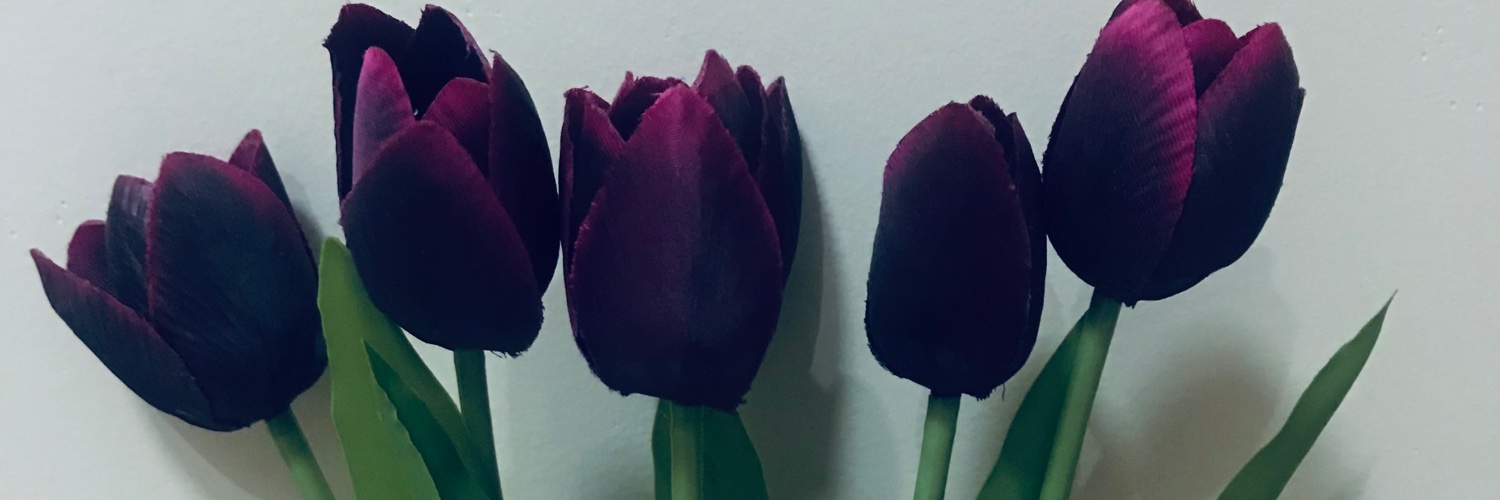 imjdenise's profile banner image