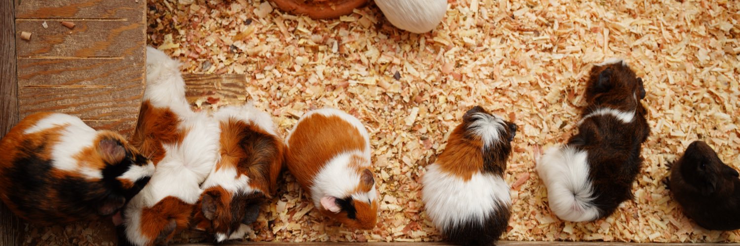 ★（そうぼう）★ banner