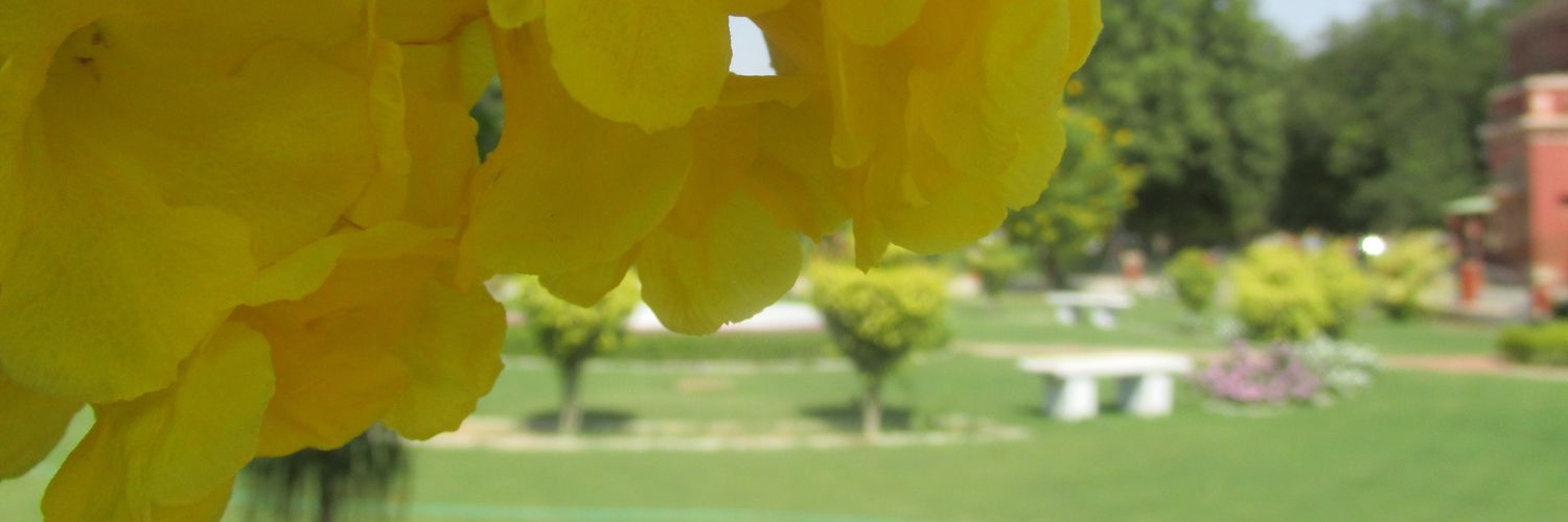 rkant_singh's profile banner image