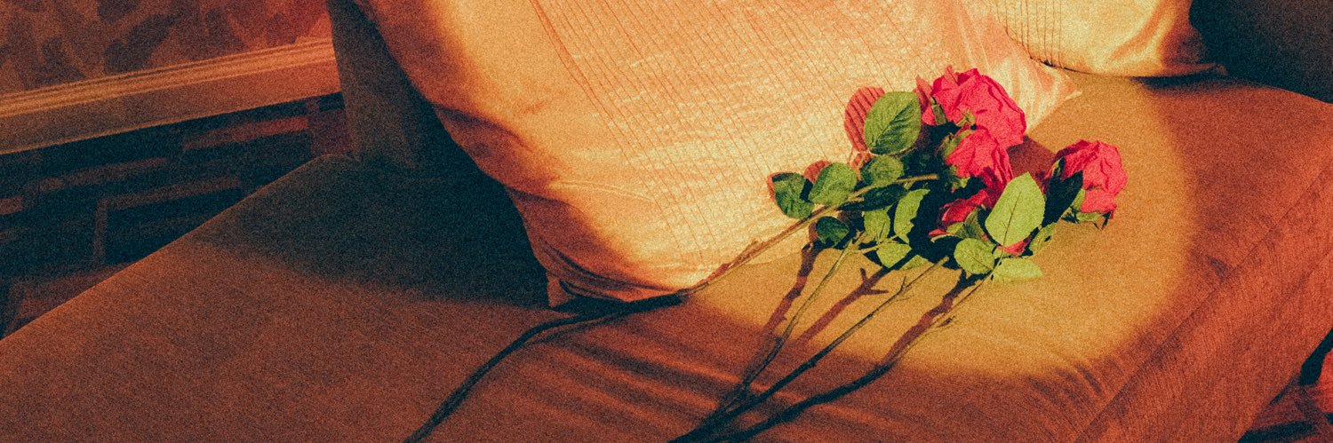 DaveCoooo's profile banner image