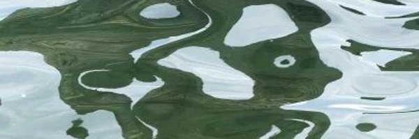 ladunati Profile Banner