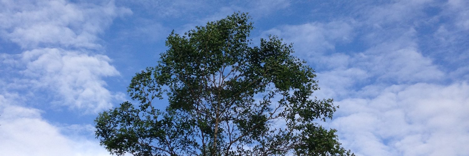 naaaylinz's profile banner image