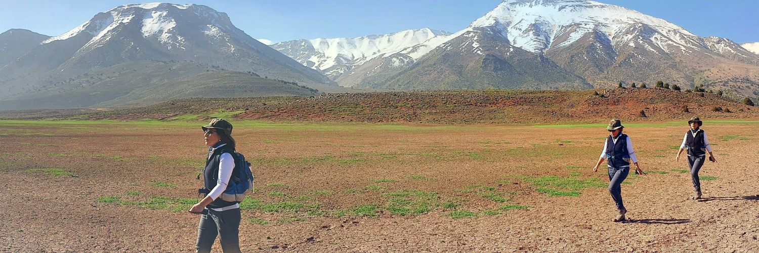 Safaa KADDIOUI banner