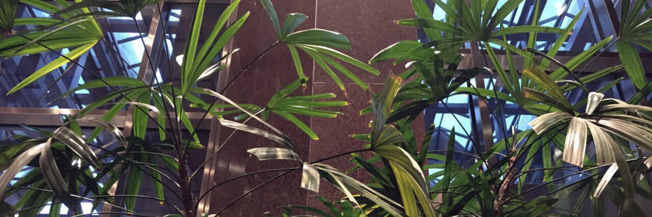 annkvl's profile banner image