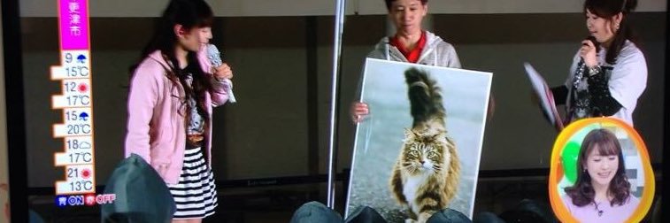 indycataki3's profile banner image