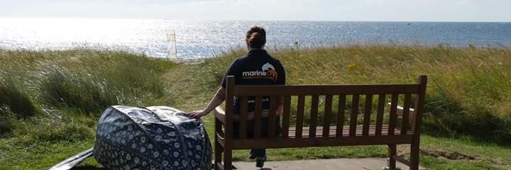 Catherine Gemmell banner