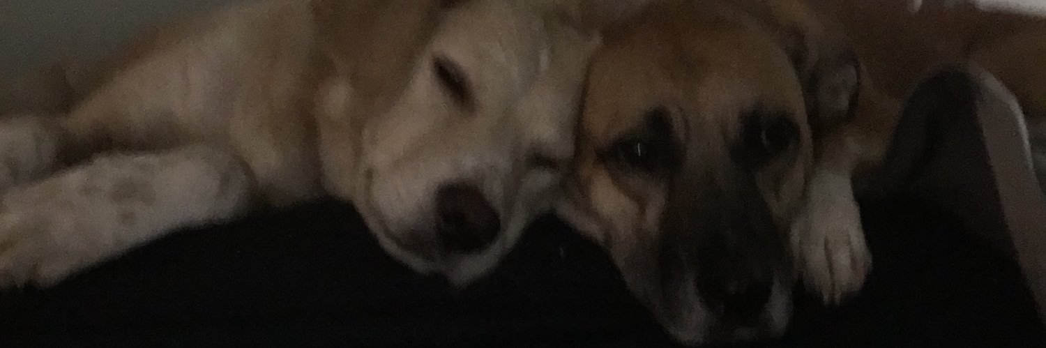 Deshotel_5's profile banner image