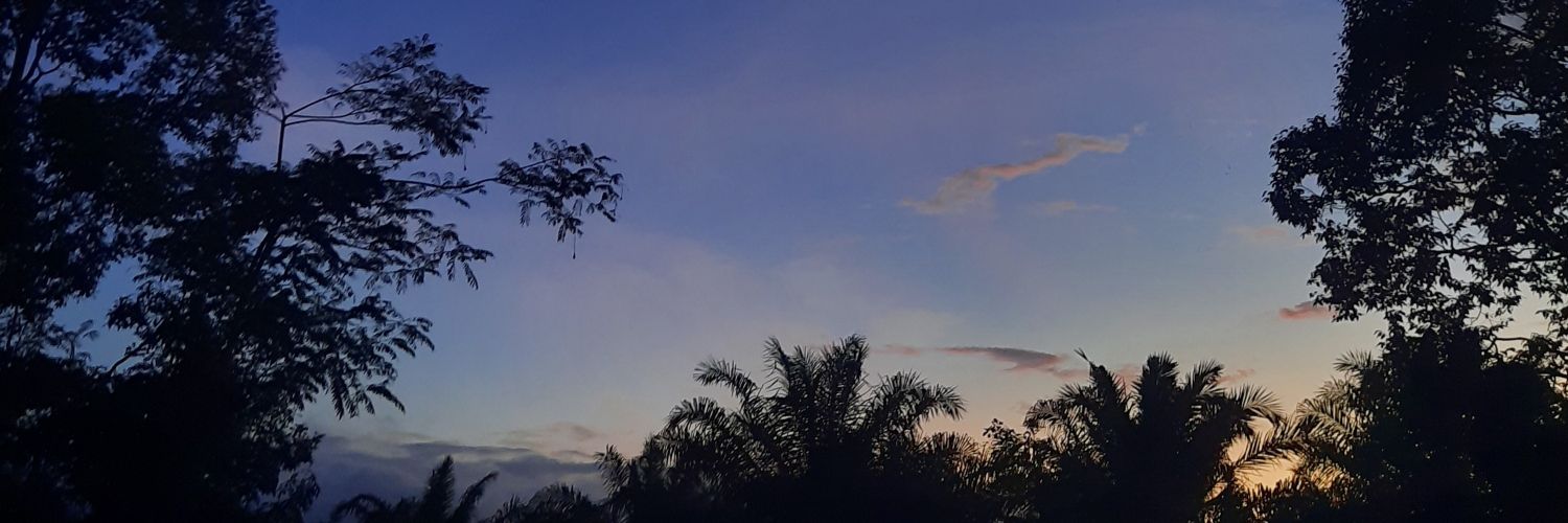17xitan's profile banner image