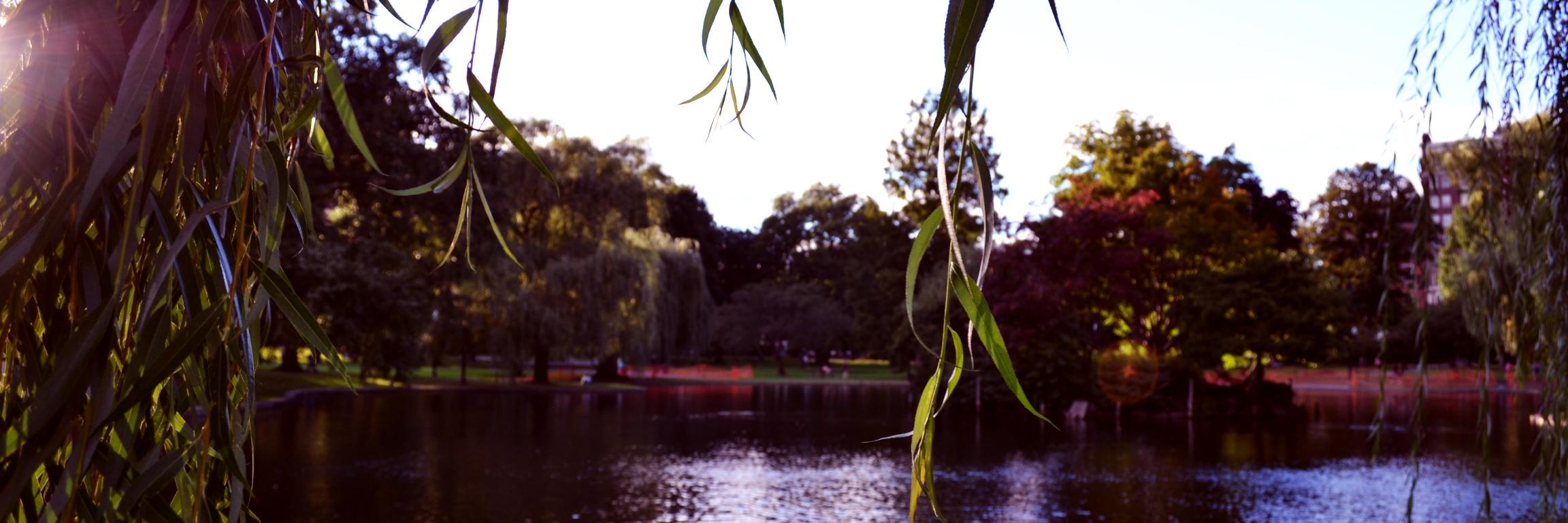 zizzy0104's profile banner image