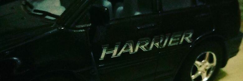 Harier_Ahsin's profile banner image