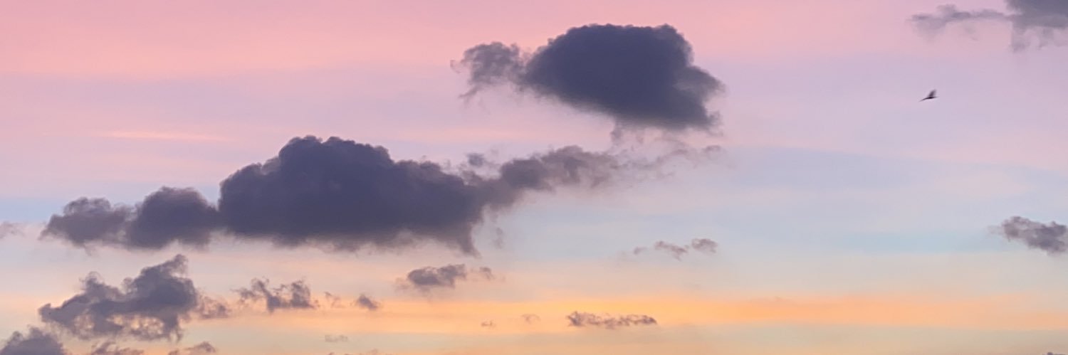 catherinedaavid's profile banner image