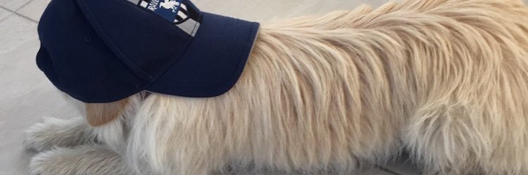 Furdaize's profile banner image
