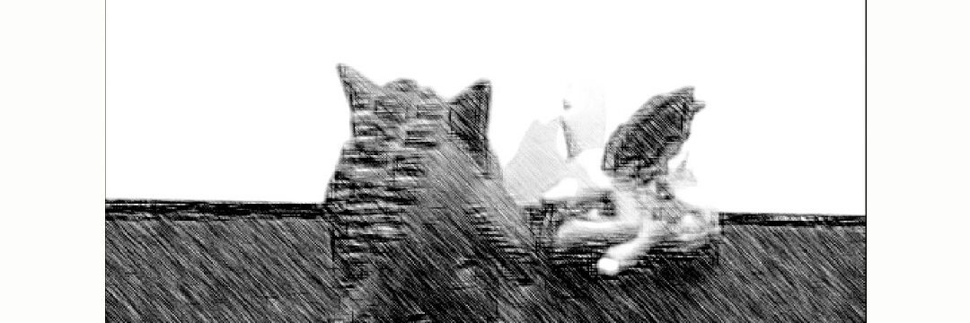 kinss81's profile banner image