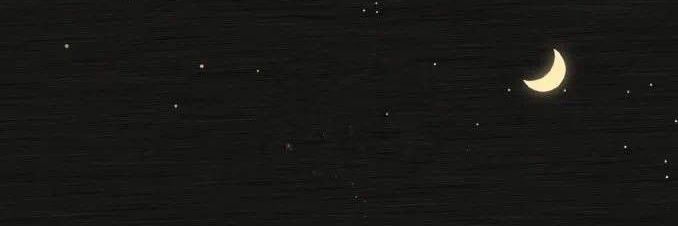 totsofmegu's profile banner image