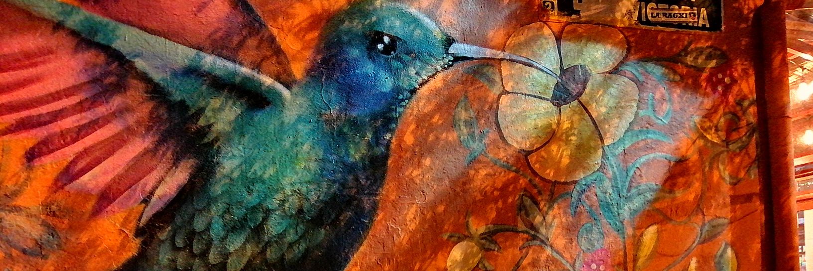 luzacarce's profile banner image