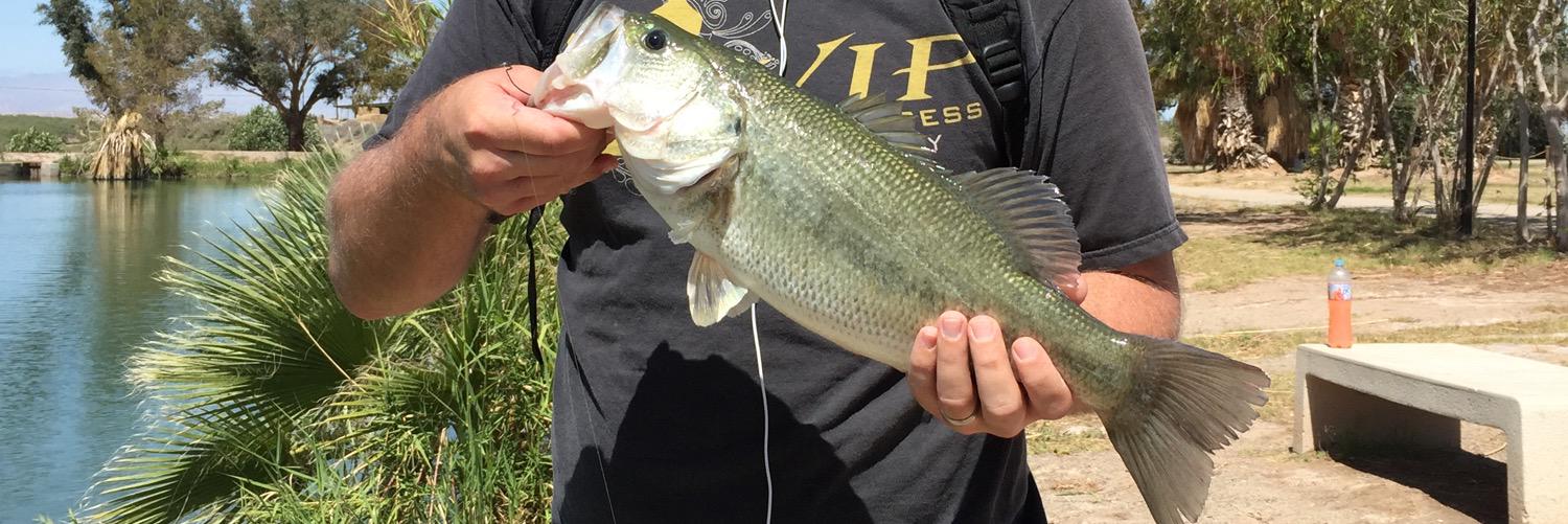 Fishinthejig's profile banner image