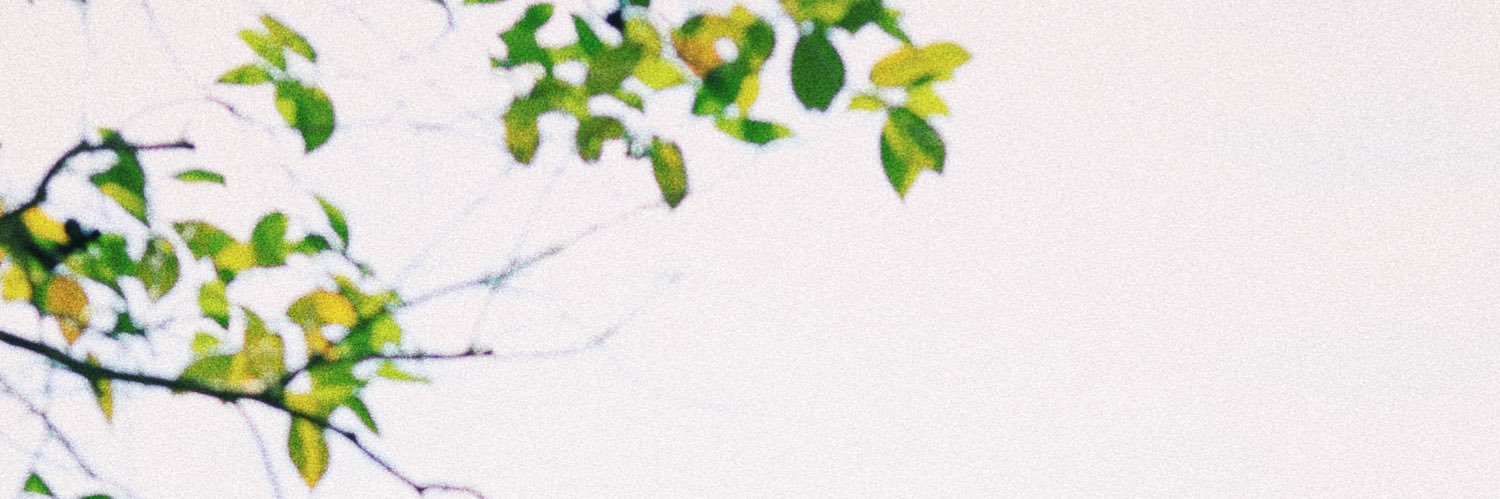 75qRr's profile banner image