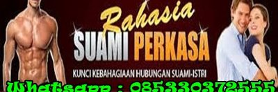 perangsangcair's profile banner image