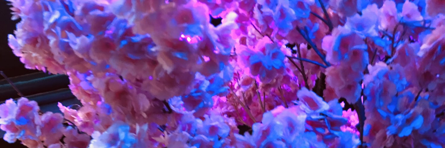 MiguelR_AC's profile banner image