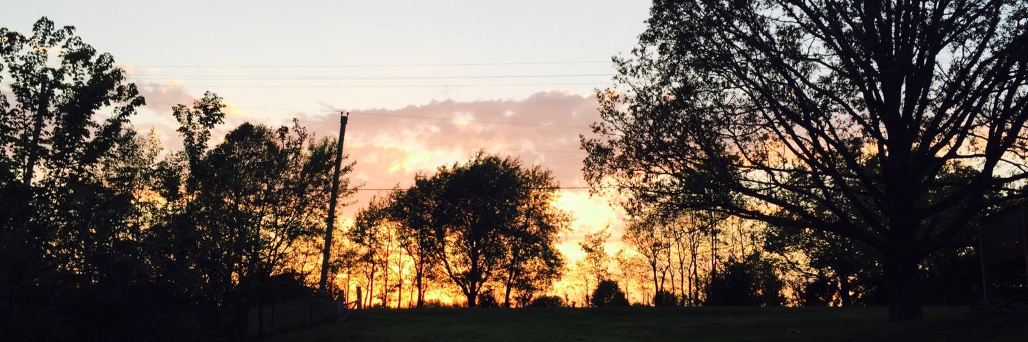 breKnorth's profile banner image