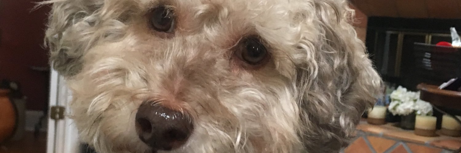 Nancy 🇺🇸💙💛 banner