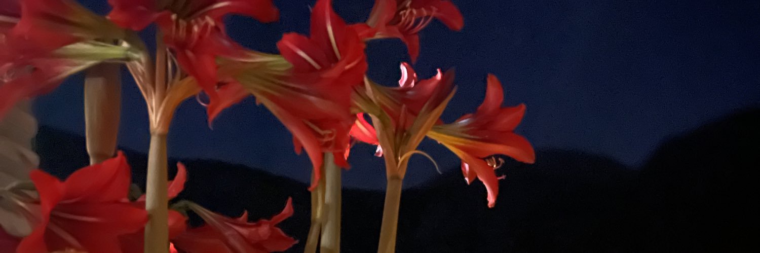 RogerBurston's profile banner image