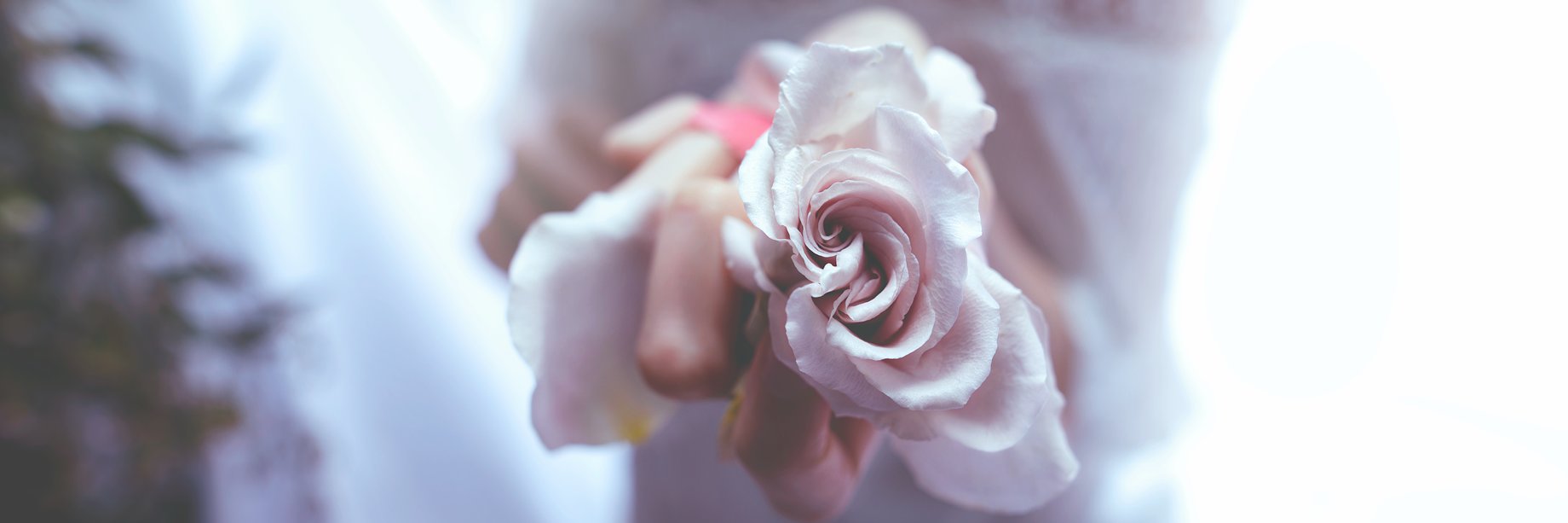hainecch's profile banner image