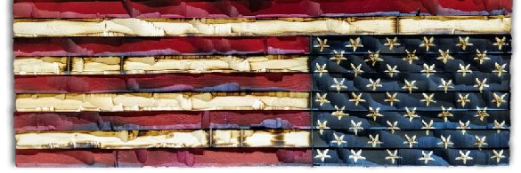 Tam16601 #1776 banner