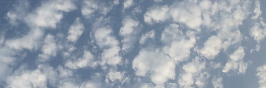 Elnaz_tabei's profile banner image