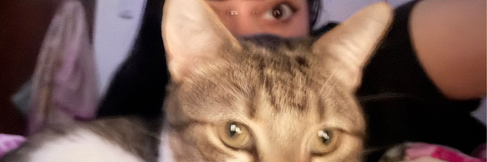 luizsunshine's profile banner image