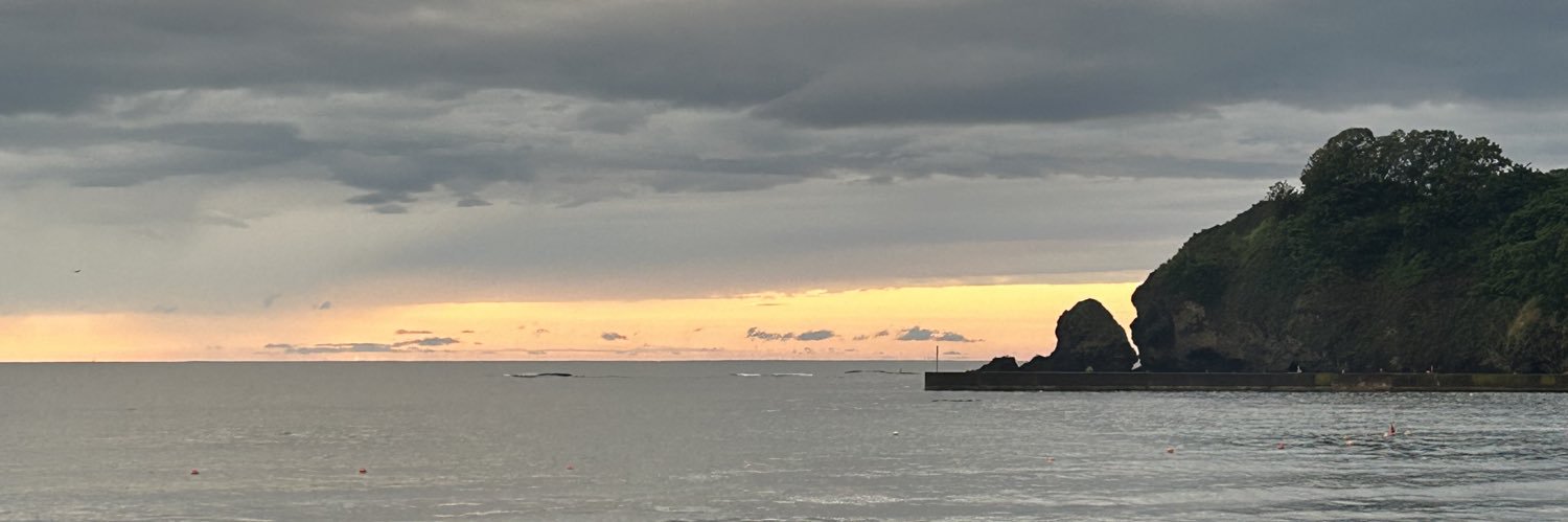 lapu_rapu's profile banner image