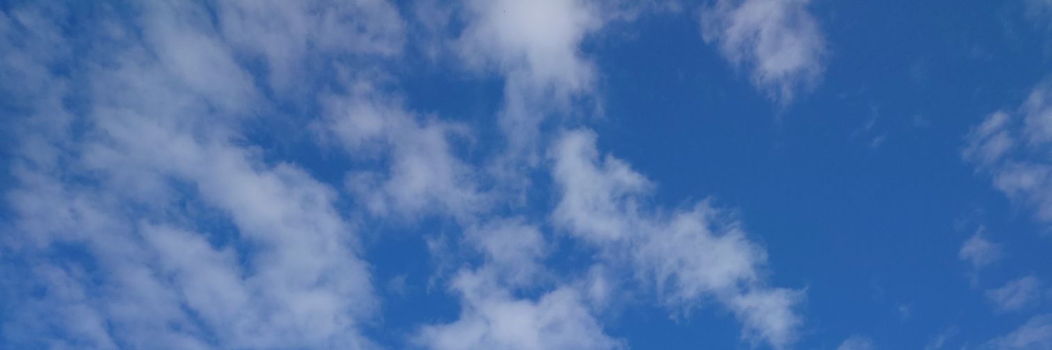 クロ banner