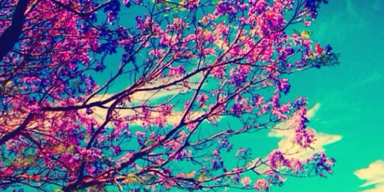 mfag25's profile banner image