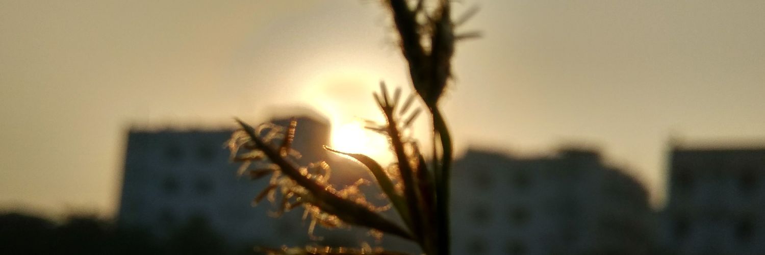 ANMOLAM30's profile banner image