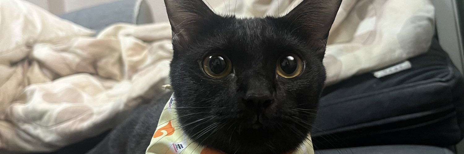 whateverjaaaa's profile banner image