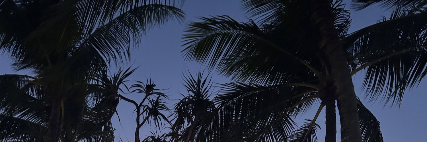 LaurieeeC's profile banner image