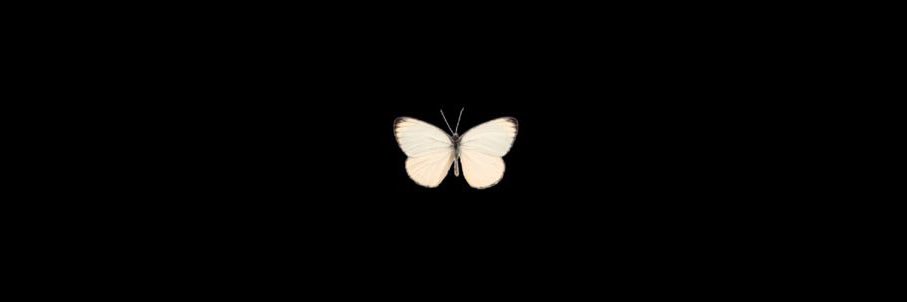 AcuteLibertine's profile banner image