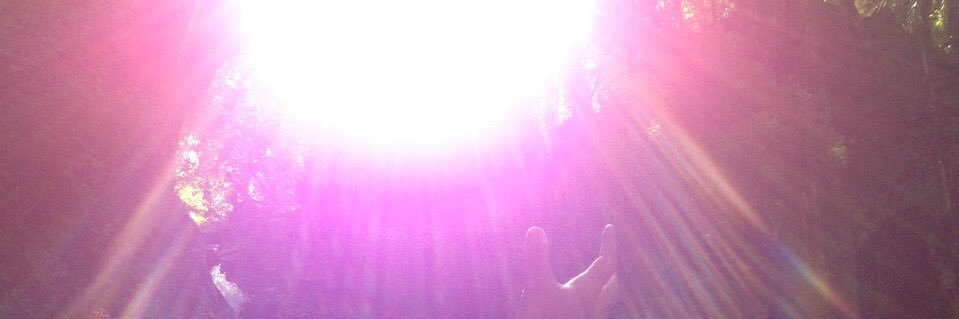 うったん☆ banner