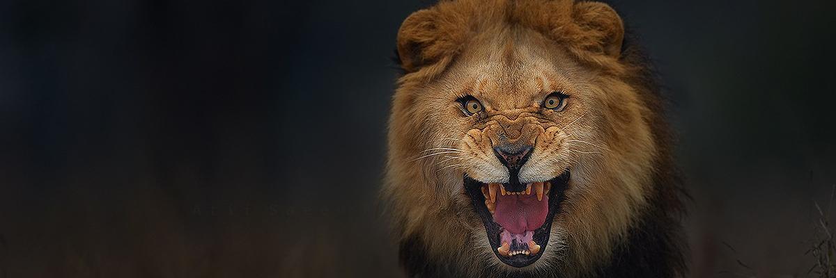 ErshianAnwar's profile banner image